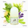 aloe vera deodorant new lifestyle (2) (002)