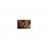 79 2 cordyceps